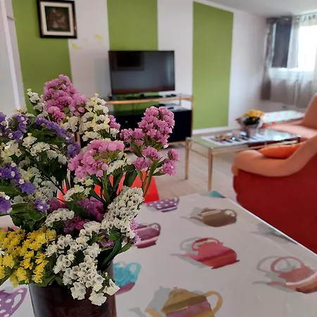 Olive House Rab Apartament